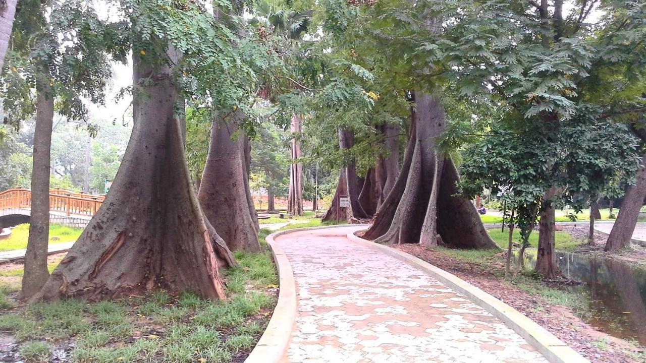 Patricia Guest House Pondicherry Dış mekan fotoğraf